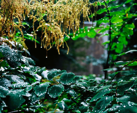 Bienvenue sur notre site